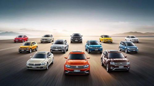 衡阳市打击汽车销售违规行为 12家经销商被罚并移送公安机关严查